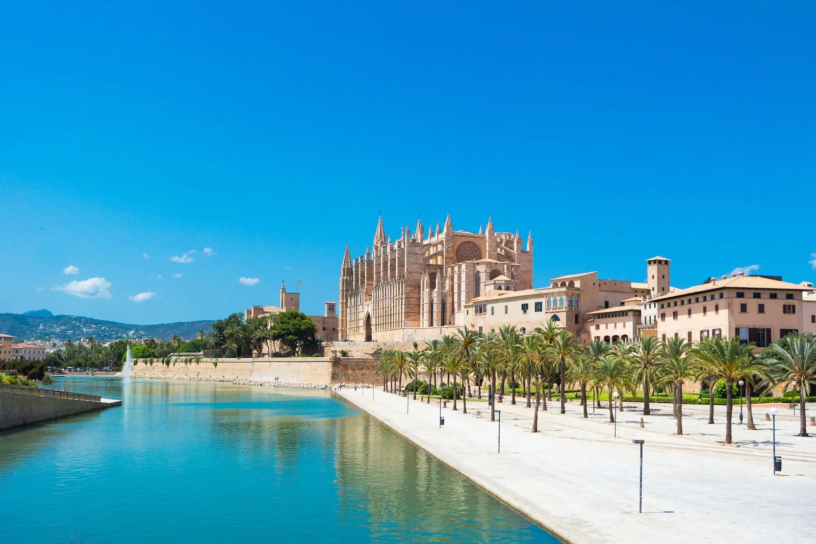Hafen und Kathedrale von Palma de Mallorca