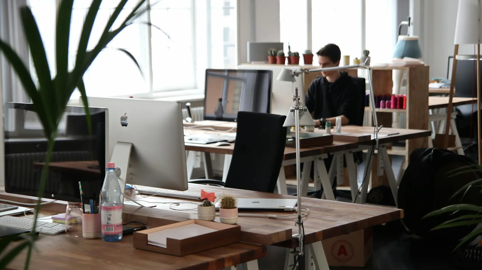 Webagentur